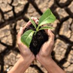 Un llamado a la acción global por la supervivencia